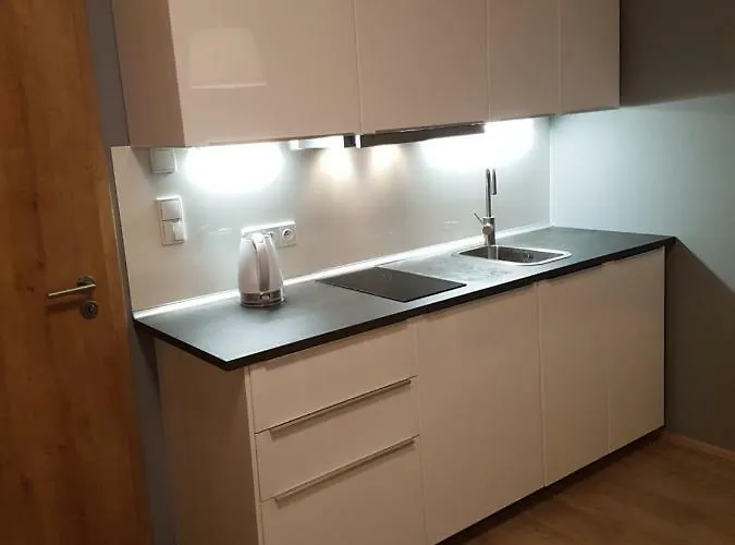 아파트 Na Svahu 3+kk, Dolní Morava