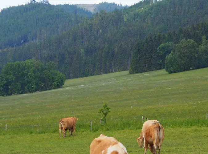 Na Svahu 3+kk, *
